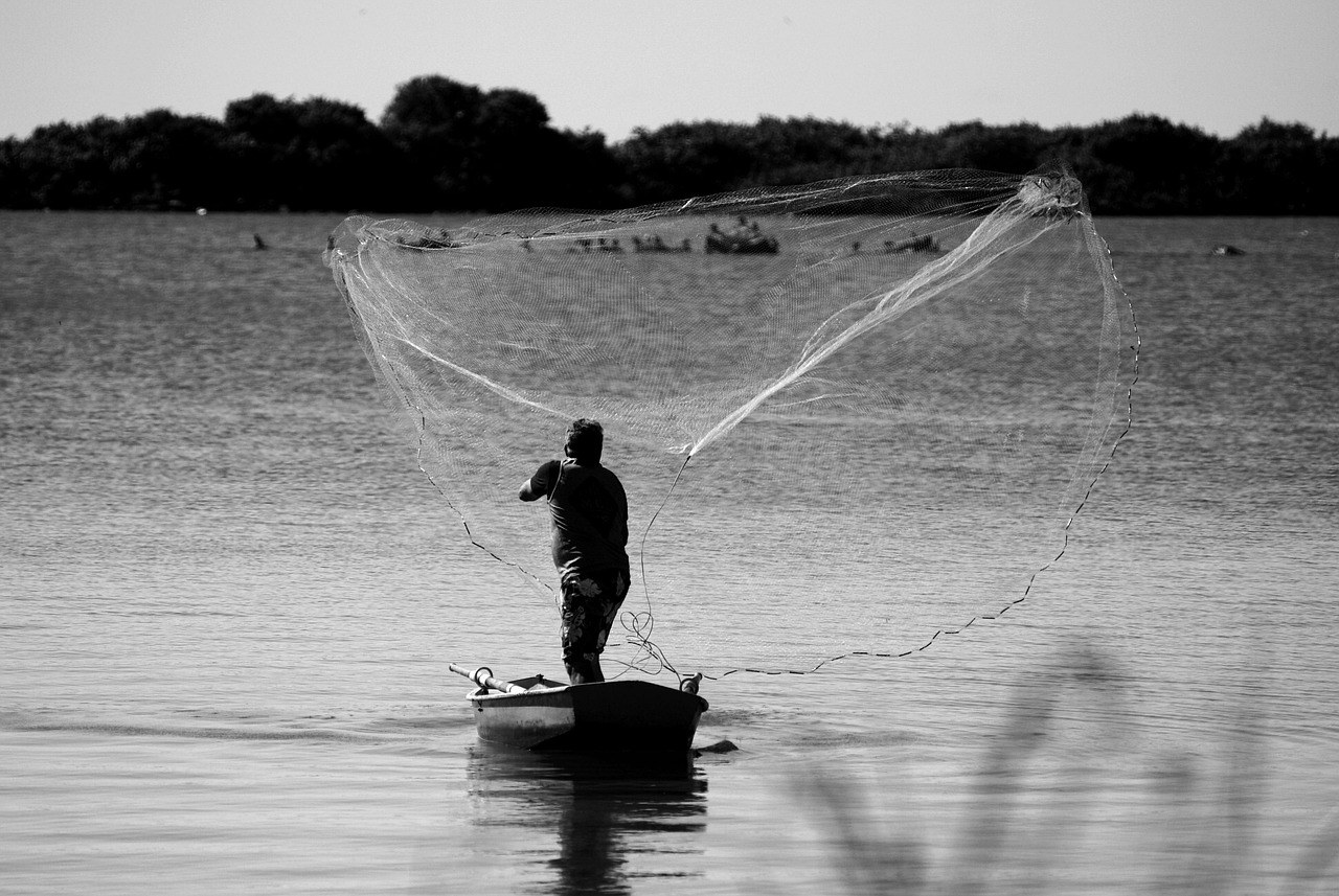 Teach fishing